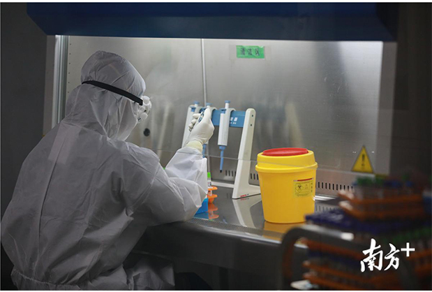 1583305379110755.jpg 113.jpg