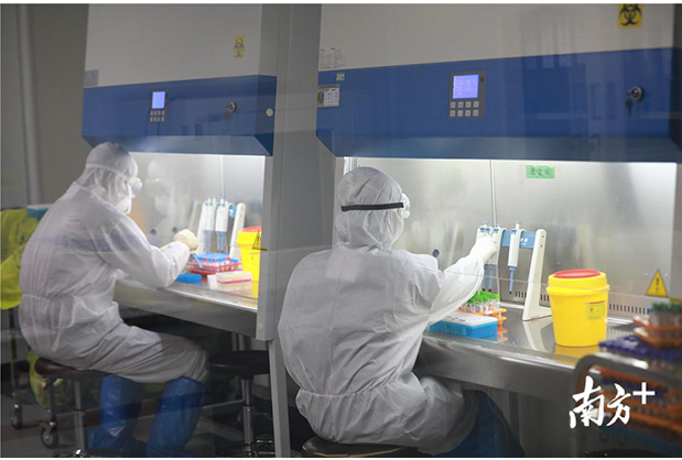 1583305407116147.jpg 114.jpg