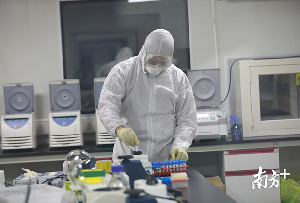 1583305434121560.jpg 115.jpg